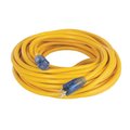 Artificial Intelligenceme 25 ft. 12-3 SJTW Heavy-Duty Lighted Extension Cord AR2683163